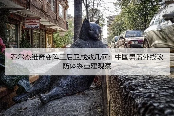 qiao-er-jie-wei-qi-bian-zhen-san-hou-wei-cheng-xiao-ji-he-zhong-guo-nan-lan-wai-xian-gong-fang-ti-xi-chong-jian-guan-cha-2-382.jpg