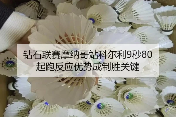 zuan-shi-lian-sai-mo-na-ge-zhan-ke-er-li-miao-qi-pao-fan-ying-you-shi-cheng-zhi-sheng-guan-jian-2-390.jpg
